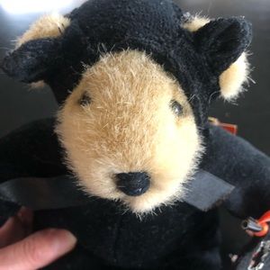 Muffy Vanderbear Cat